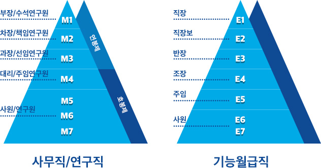 인사제도 인사제도